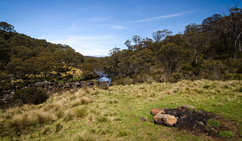 Junction Pools Campground - Kempsey Accommodation 1