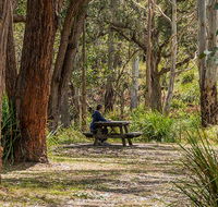 Koreelah Creek campground - Kempsey Accommodation