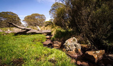 Little Murray Campground - Kempsey Accommodation 1