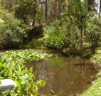 Tallowood Ridge B and B - Kempsey Accommodation