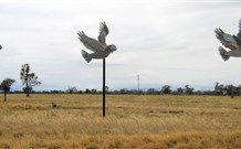 Gulargambone Hotel - Gulargambone - Kempsey Accommodation 0