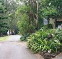 Tamborine Mountain Caravan  Camping - Kempsey Accommodation