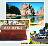 Red Gum Tourist Park - Kempsey Accommodation