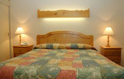 Best Western Fawkner Airport Motor Inn & Serviced Apartments - Kempsey Accommodation 1