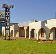 Citrus Motel - Kempsey Accommodation
