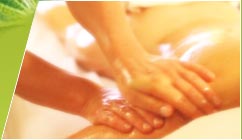 A Country Health Retreat - Kempsey Accommodation 1