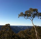 Coach Cottage - Kempsey Accommodation