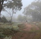 Heritage Park Bathurst - Kempsey Accommodation