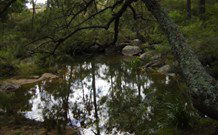 Palm Grove NSW Kempsey Accommodation