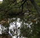 Hidden Valley Farm - Kempsey Accommodation