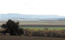 Middlebrook Station Farmstay B And B - Kempsey Accommodation 2