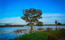Morvern Valley Farm Stay Cottages - Kempsey Accommodation 4
