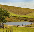 Sanctuary Hill Retreat - Kempsey Accommodation