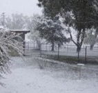 Tirrintippin - Kempsey Accommodation