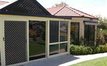 Busy Buzz - Kempsey Accommodation 2