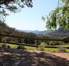 Cedar Grove - - Kempsey Accommodation