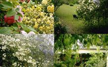 Chauvel Park B And B - Kempsey Accommodation 1