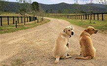 Pemberley Grange Hunter Valley Getaway - Kempsey Accommodation 1