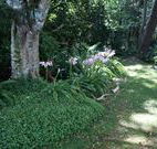 Tallawalla Retreat - Kempsey Accommodation