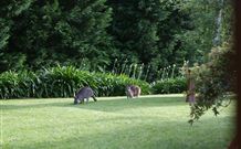 Yallambee Bed And Breakfast - Kempsey Accommodation 4