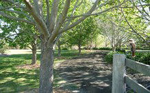 Yellow Dog Cottage - - Kempsey Accommodation 6