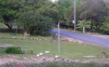 Calurla Chalets And Cottages - Kempsey Accommodation 2