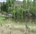 Cedar Grove - Kempsey Accommodation