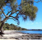 David Jones Cottage - Kempsey Accommodation