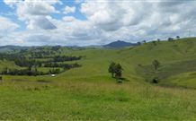 Denham Cottage - Kempsey Accommodation 4