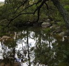 In Essentia Healing Hut of Kangaroo Valley - Kempsey Accommodation