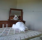 Love Me Tender - Kempsey Accommodation