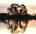 Myuna Bay Sport and Recreation Centre - Kempsey Accommodation