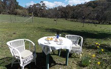 Pinegrove Cottage - Kempsey Accommodation 5
