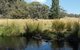 Pinegrove Cottage - thumb 3