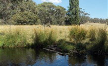 Pinegrove Cottage - Kempsey Accommodation 3
