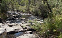 Pinegrove Cottage - Kempsey Accommodation 4