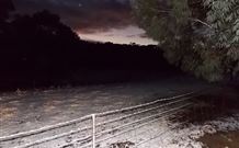 Pinegrove Cottage - Kempsey Accommodation 7