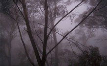 SeaChange Holiday Cottage And SeaStay Cottage - Kempsey Accommodation 4