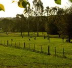 Stone Cottage Mittagong