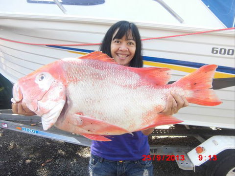 Flying Fish Point Tourist Park - Kempsey Accommodation 6
