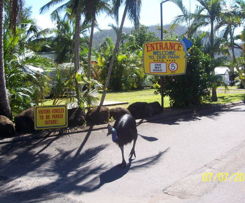 Flying Fish Point Tourist Park - Kempsey Accommodation 9