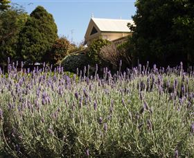 Vacy Hall Toowoomba's Grand Boutique Hotel Since 1873 - Kempsey Accommodation 2