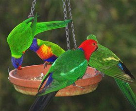 Bellthorpe Stays - Nature's Retreat - Kempsey Accommodation 3