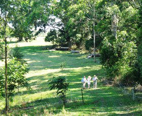 Bellthorpe Stays - Nature's Retreat - Kempsey Accommodation 2