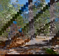 Back Yamma State Forest - Kempsey Accommodation