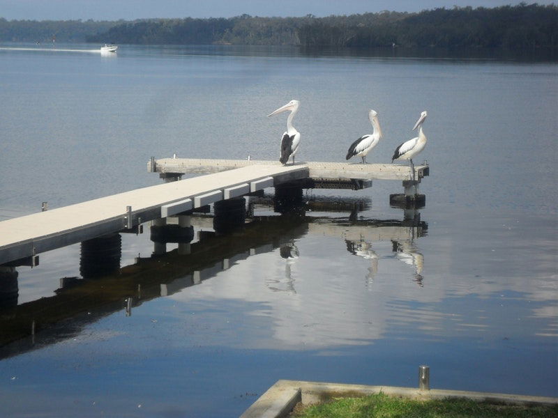 Basin View NSW Kempsey Accommodation