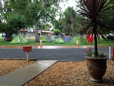 Young Caravan Tourist Park - Kempsey Accommodation 1