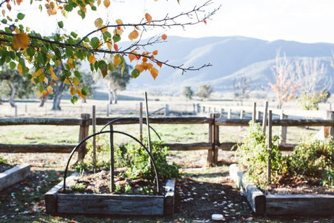 Alpine Edge Accommodation - Kempsey Accommodation 5