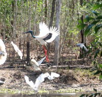 Rakhi Retreat - Kempsey Accommodation