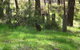 Mount Cole Cottages - thumb 7